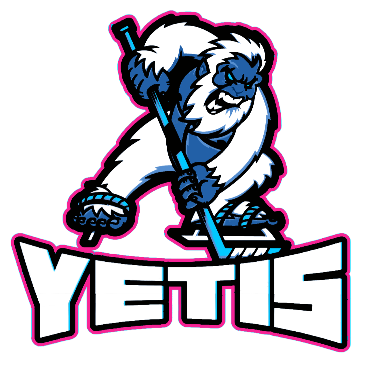 Eishockeynet Yetis